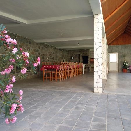Pensiunea Tiuta Hotell Corbeni Exteriör bild