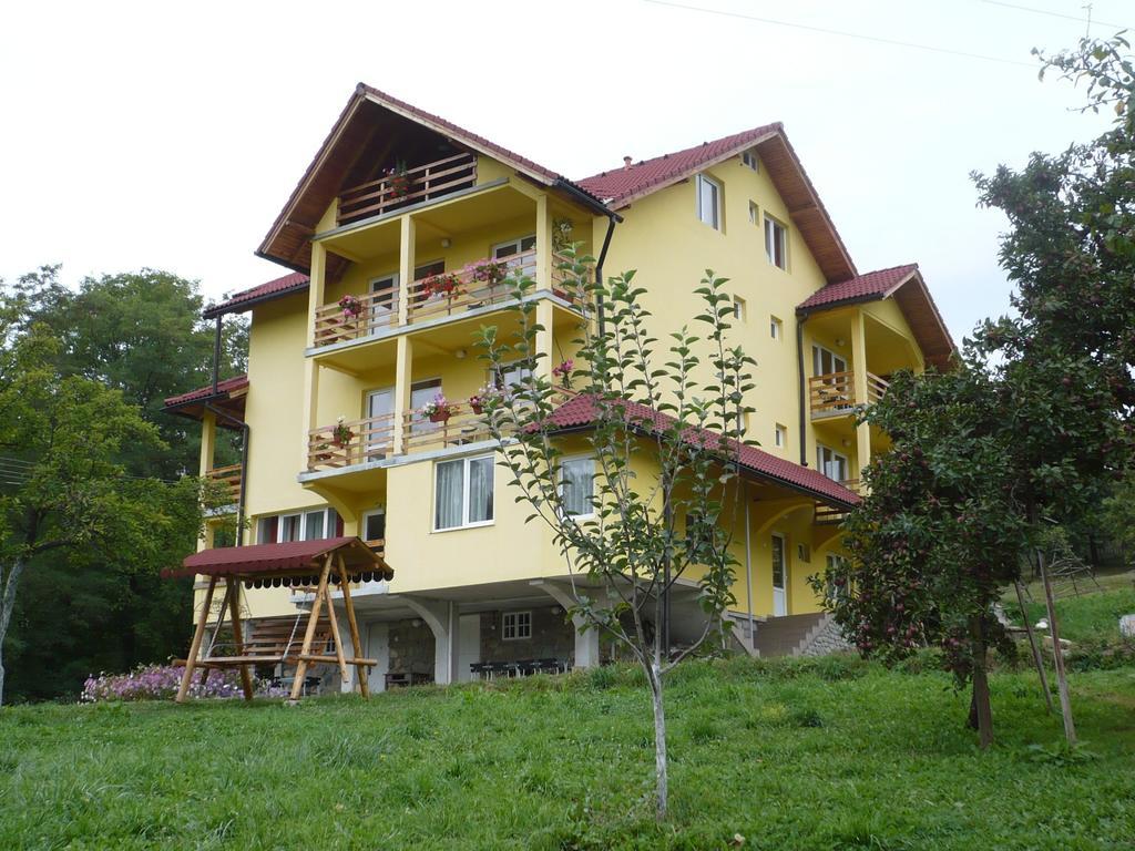 Pensiunea Tiuta Hotell Corbeni Exteriör bild