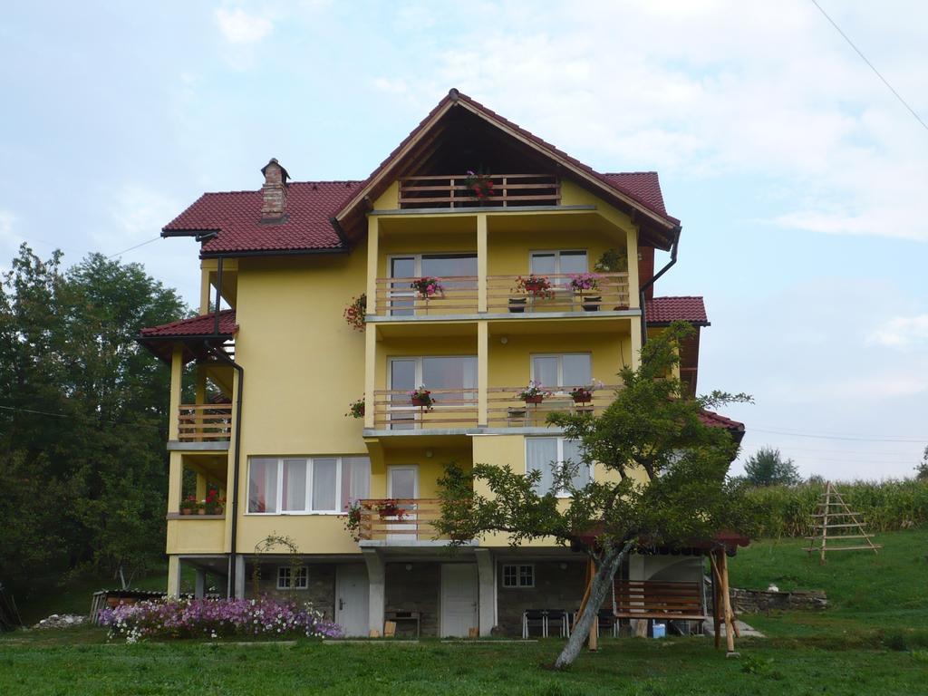 Pensiunea Tiuta Hotell Corbeni Exteriör bild
